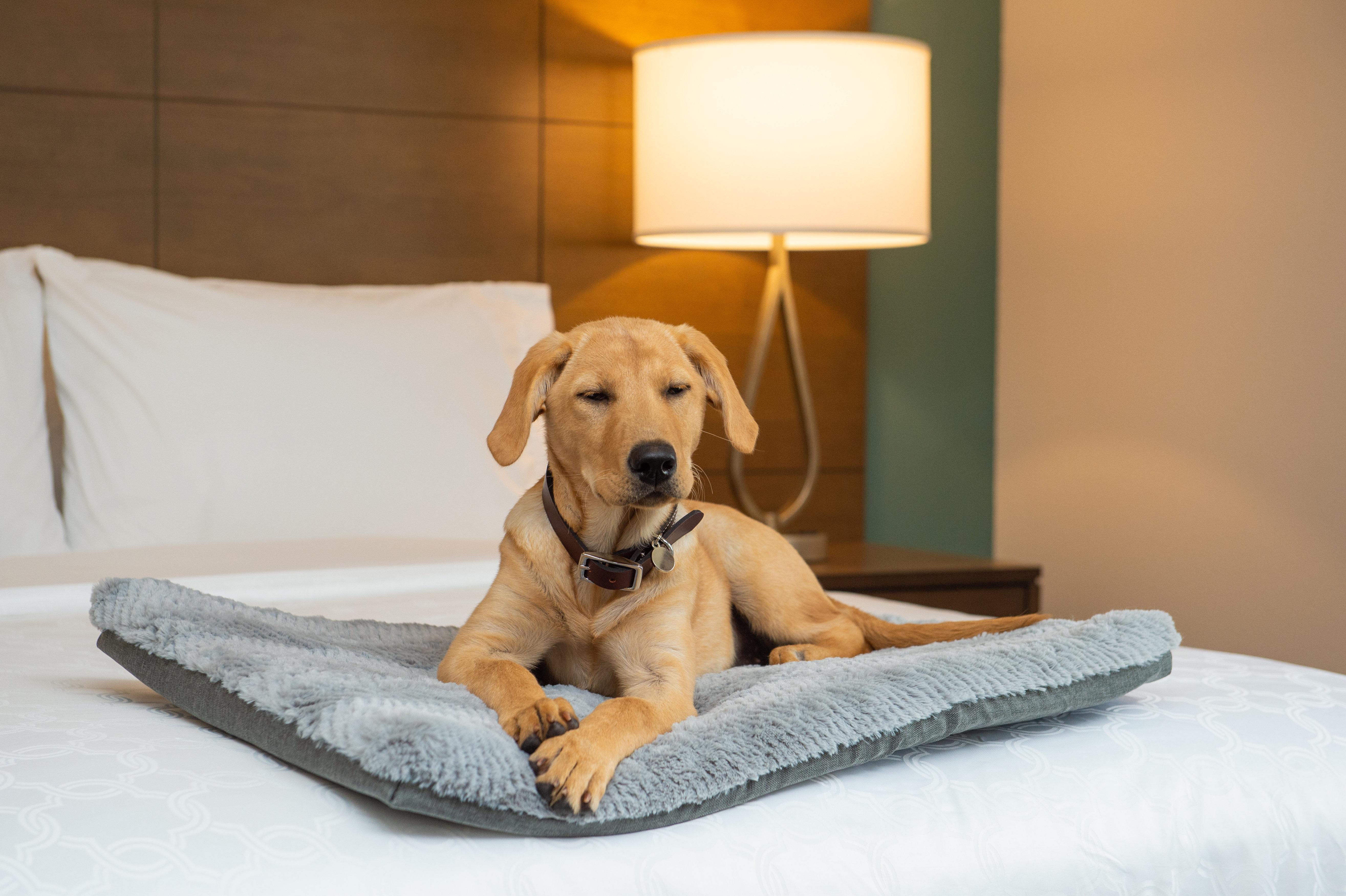 Staybridge Suites - Hillsboro North By Ihg Esterno foto